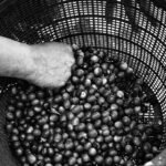 Fotografía Guatemala 112 Fotografía Guatemala