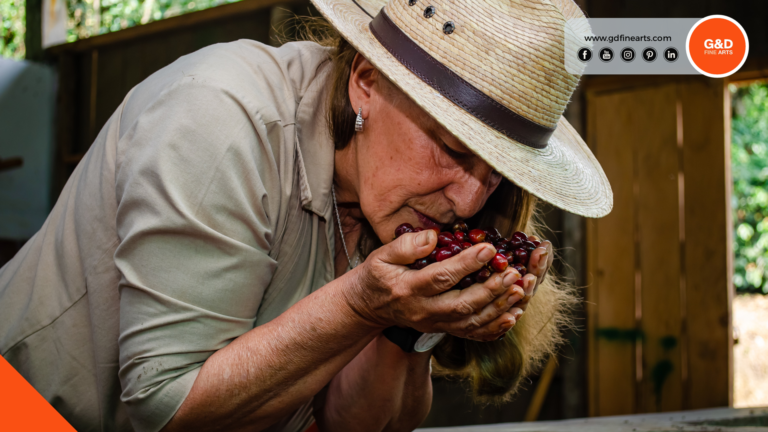 Fotografía Comercial