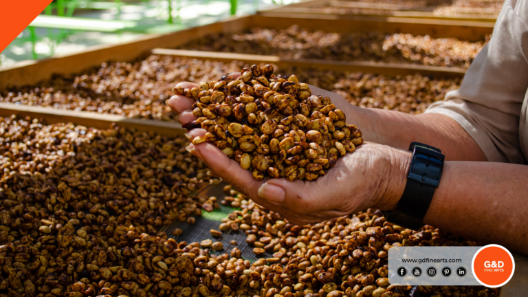 Fotografía Comercial