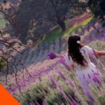 Fotografía Profesional