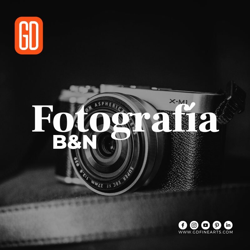 Read more about the article Fotografía Blanco y Negro