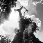 Fotografía Guatemala 108 Fotografía Blanco y Negro Guatemala