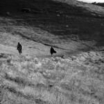 Fotografía Guatemala 92 Fotografía Blanco y Negro Guatemala