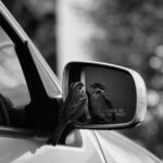 Fotografía Guatemala 66 212