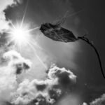 Fotografía Guatemala 35 Fotografía Blanco y Negro Guatemala