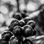 Fotografía Guatemala 29 Fotografía Blanco y Negro Guatemala