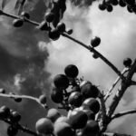 Fotografía Guatemala 27 Fotografía Blanco y Negro Guatemala